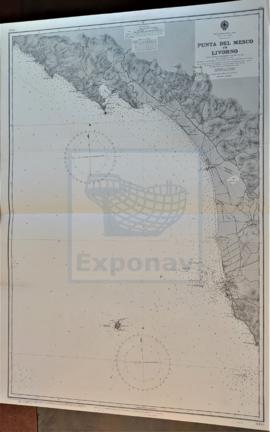 PUNTA DEL MESCO TO LIVORNO
